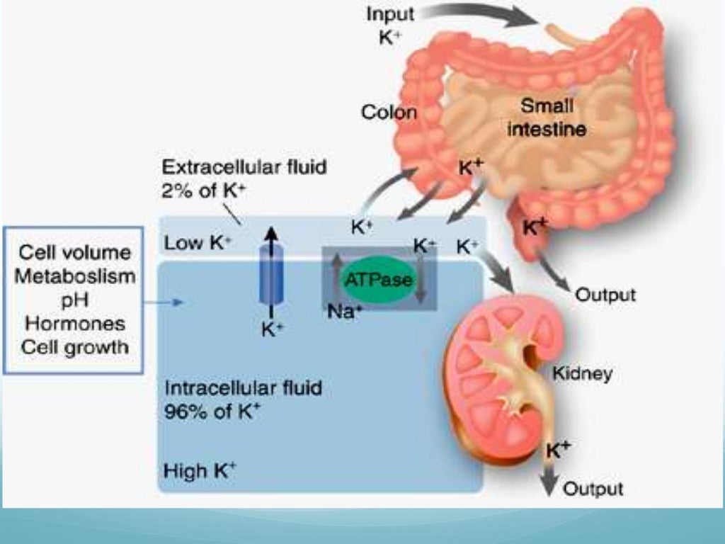 Hypokalemia diagnosis, causes and treatment