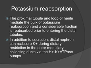 Potassium reabsorption
 The proximal tubule and loop of henle
mediate the bulk of potassium
reabsorption and a considerable fraction
is reabsorbed prior to entering the distal
tubules.
 In addition to secretion, distal nephron
can reabsorb K+ during dietary
restriction in the outer medullary
collecting ducts via the H+-K+ATPase
pumps
 