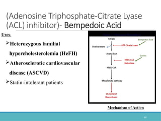 HYPOLIDIMEMIC Dddddddddddddddddddddddpptx | PPTX