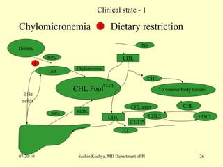 Chylomicronemia  Dietary restriction  1 Clinical state - 1 CHL Pool Dietary CHL  VLDL Chylomicrons 50%  50%  VLDL LDL TG  CHL To various body tissues,  Gut  HDL2  HDL3  CHL ester TG  LDL CETP 1 Bile acids 