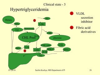 CHL Pool Dietary CHL  VLDL Chylomicrons 50%  50%  VLDL LDL TG  CHL atheroma Gut  HDL2  HDL3  CHL ester TG  LDL CETP 6 5 Hypertriglyceridemia  6 5 VLDL secretion inhibitor Fibric acid derivatives Clinical state - 3 