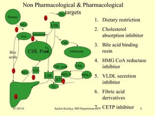 Dietary restriction Cholesterol absorption inhibitor Bile acid binding resin HMG CoA reductase inhibitor VLDL secretion inhibitor Fibric acid derivatives CETP inhibitor Non Pharmacological & Pharmacological targets 1 2 3 4 5 6 7 Dietary Atheroma HDL2  CHL Pool CHL  VLDL Chylomicrons 50%  50%  VLDL LDL TG  CHL Gut  HDL3  CHL ester TG  LDL CETP Bile acids 