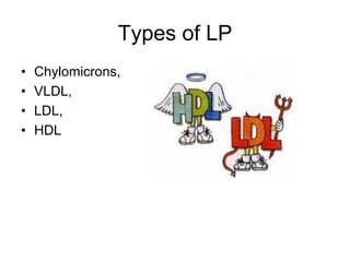 Types of LP
• Chylomicrons,
• VLDL,
• LDL,
• HDL
 