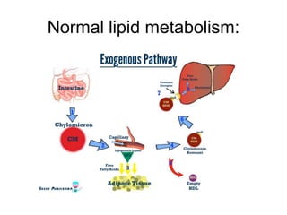 Normal lipid metabolism:
 