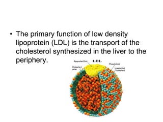 • The primary function of low density
lipoprotein (LDL) is the transport of the
cholesterol synthesized in the liver to the
periphery.
 