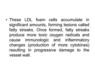 • These LDL foam cells accumulate in
significant amounts, forming lesions called
fatty streaks. Once formed, fatty streaks
produce more toxic oxygen radicals and
cause immunologic and inflammatory
changes (production of more cytokines)
resulting in progressive damage to the
vessel wall.
 