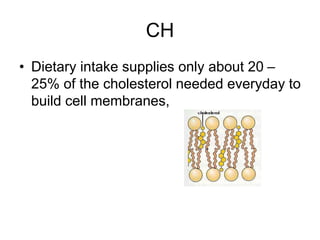 CH
• Dietary intake supplies only about 20 –
25% of the cholesterol needed everyday to
build cell membranes,
 
