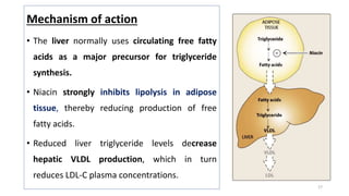 Mechanism of action
• The liver normally uses circulating free fatty
acids as a major precursor for triglyceride
synthesis.
• Niacin strongly inhibits lipolysis in adipose
tissue, thereby reducing production of free
fatty acids.
• Reduced liver triglyceride levels decrease
hepatic VLDL production, which in turn
reduces LDL-C plasma concentrations.
17
 