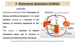 21
Ezetimibe
Ezetimibe selectively inhibits absorption of
dietary and biliary cholesterol in the small
intestine, leading to a decrease in the
delivery of intestinal cholesterol to the
liver.
This causes a reduction of hepatic
cholesterol stores and an increase in
clearance of cholesterol from the blood.
3. Cholesterol absorption inhibitor
Neimann pick C1 Like1(NPC1L1) is a protein, present in GIT Epithelial cells for trafficking of Cholesterol from GIT to liver.
 