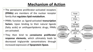 Mechanism of Action
• The peroxisome proliferator–activated receptors
(PPARs) are members of the nuclear receptor
family that regulates lipid metabolism.
• PPARs function as ligand-activated transcription
factors. Upon binding to their natural ligands
(fatty acids) or antihyperlipidemic drugs, PPARs
are activated.
• They then bind to peroxisome proliferator
response elements, which ultimately leads to
decreased triglyceride concentrations through
increased expression of lipoprotein lipase.
24
 