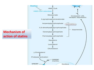 Mechanism of
action of statins
 