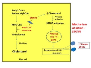 Acetyl CoA +
Acetoacetyl CoA
HMG CoA
Mevalonate
Cholesterol
HMG CoA
reductase
Statins
↓Cholesterol
SREBP activation
Nucleus
LDL –R
gene
↑expression of LDL
receptors
↑Uptake
of LDL
Protease
activation
Liver cell
Multistep
Mechanism
of action -
STATIN
 
