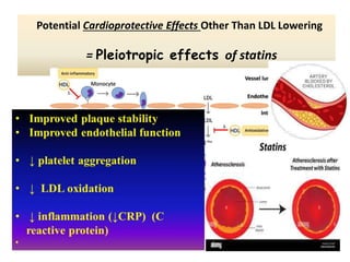 Potential Cardioprotective Effects Other Than LDL Lowering
= Pleiotropic effects of statins
 