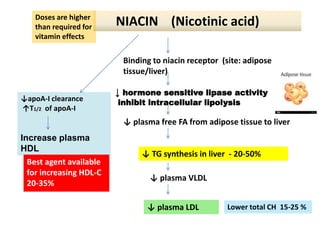 NIACIN (Nicotinic acid)
Binding to niacin receptor (site: adipose
tissue/liver)
↓ hormone sensitive lipase activity
inhibit intracellular lipolysis
↓ plasma free FA from adipose tissue to liver
↓ TG synthesis in liver - 20-50%
↓ plasma VLDL
↓ plasma LDL
↓apoA-I clearance
↑T1/2 of apoA-I
Increase plasma
HDL
Doses are higher
than required for
vitamin effects
Best agent available
for increasing HDL-C
20-35%
Lower total CH 15-25 %
 