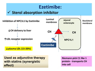 Ezetimibe:
 Sterol absorption inhibitor
CH CH
NPC1L1
Luminal
membrane
Basolateral
membrane
Jejunal
enterocyte
Niemann pick C1 like 1
protein - transports CH
into cell
Inhibition of NPC1L1 by Ezetimibe
↓CH delivery to liver
↑LDL receptor expression
↓plasma LDL (15-20%)
Ezetimibe
Used as adjunctive therapy
with statins (synergistic
effect)
 