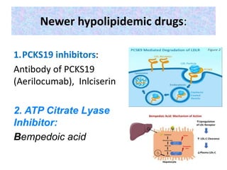 Newer hypolipidemic drugs:
1.PCKS19 inhibitors:
Antibody of PCKS19
(Aerilocumab), Inlciserin
2. ATP Citrate Lyase
Inhibitor:
Bempedoic acid
 