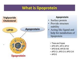 What is lipoprotein
LIPID Apoprotein
Triglyceride
Cholesterol
Apoprotein
• Surface protein
• Provide structure
stability
• Acting like ligand and
help for metabolism of
lipoprotein
lipoprotein
 