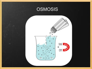 OSMOSIS 