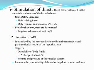 1- Stimulation of thirst: Thirst center is located in the
 anteriolateral center of the hypothalamus
  Osmolality increases

     Main driving force

     Only requires an increase of 2% - 3%

  Blood volume or pressure is reduced

     Requires a decrease of 10% - 15%


2- Secretion of ADH
     Synthesized by the neuroendocrine cells in the supraoptic and
      paraventricular nuclei of the hypothalamus
     Triggers:
        Osmolality of body fluids

          A change of about 1%

        Volume and pressure of the vascular system

     Increases the permeability of the collecting duct to water and urea
 
