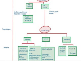 Comprehensive Overview and Management of Hyponatremia in Clinical ...