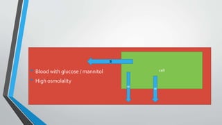 • Blood with glucose / mannitol
• High osmolality
cell
w w
w
 