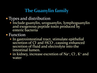  Types and distribution
 Include guanylin, uroguanylin, lymphoguanylin
and exogenous peptide toxin produced by
enteric bacteria
 Function
 In gastrointestinal tract, stimulate epithelial
secretion of Cl- and HCO-, causing enhanced
secretion of fluid and electrolyte into the
intestinal lumen.
 in kidney, increase excretion of Na+, Cl-, K+ and
water
 