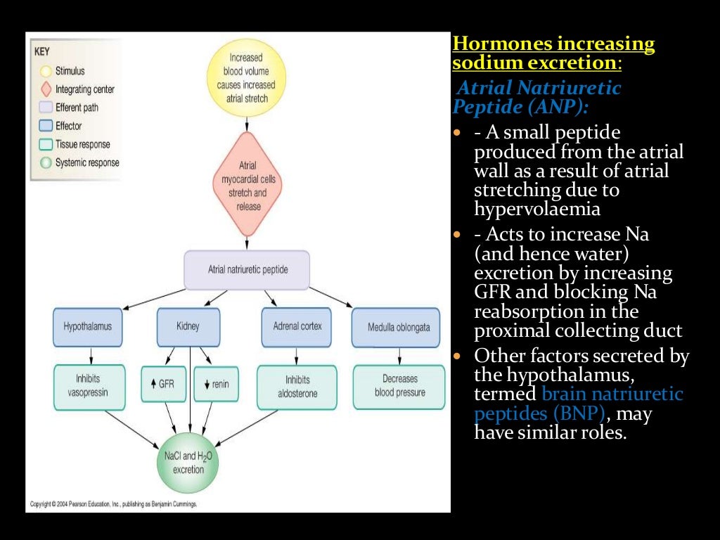Hyponatremia And Hypernatremia