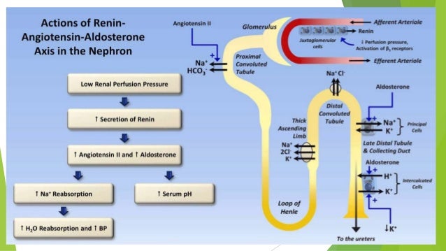 Hyponatremia And Hypernatremia