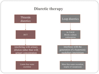Loop diuretics
In TALH
Blocks sodium
reabsorption
interferes with the
generation of a hypertonic
medullary interstitium
Thiazide
diuretics
DCT
interfering with urinary
dilution rather than with
urinary concentration
More free water excretion,
inspite of vasopressin
Limits free water
excretion
Diuretic therapy
 