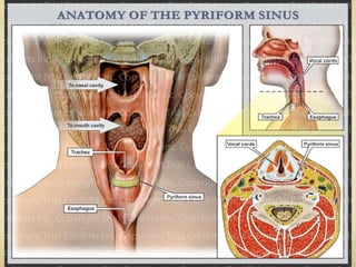 Hypopharyngeal cancer | PPT