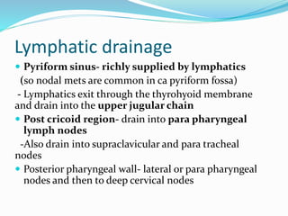 Hypopharynx anatomy