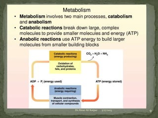 Dr Abrar Ali Katpar

5/17/2013

9

 