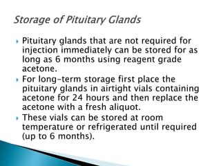  Pituitary glands that are not required for
injection immediately can be stored for as
long as 6 months using reagent grade
acetone.
 For long-term storage first place the
pituitary glands in airtight vials containing
acetone for 24 hours and then replace the
acetone with a fresh aliquot.
 These vials can be stored at room
temperature or refrigerated until required
(up to 6 months).
 