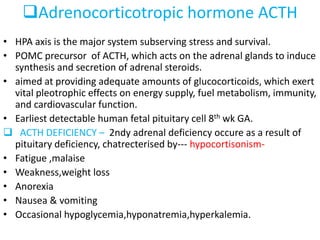 Adrenocorticotropic hormone ACTH
• HPA axis is the major system subserving stress and survival.
• POMC precursor of ACTH, which acts on the adrenal glands to induce
synthesis and secretion of adrenal steroids.
• aimed at providing adequate amounts of glucocorticoids, which exert
vital pleotrophic effects on energy supply, fuel metabolism, immunity,
and cardiovascular function.
• Earliest detectable human fetal pituitary cell 8th wk GA.
 ACTH DEFICIENCY – 2ndy adrenal deficiency occure as a result of
pituitary deficiency, chatrecterised by--- hypocortisonism-
• Fatigue ,malaise
• Weakness,weight loss
• Anorexia
• Nausea & vomiting
• Occasional hypoglycemia,hyponatremia,hyperkalemia.
 