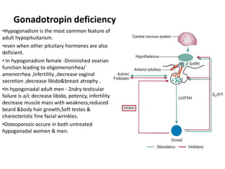 Gonadotropin deficiency
•Hypogonadism is the most common feature of
adult hypopituitarism.
•even when other pituitary hormones are also
deficient.
• In hypogonadism female -Diminished ovarian
function leading to oligomenorrhea/
amenorrhea ,Infertility ,decrease vaginal
secretion ,decrease libido&breast atrophy .
•In hypogonadal adult men - 2ndry testicular
failure is a/c decrease libido, potency, infertility,
decrease muscle mass with weakness,reduced
beard &body hair growth,Soft testes &
charecteristic fine facial wrinkles.
•Osteoporosis occure in both untreated
hypogonadal women & men.
 