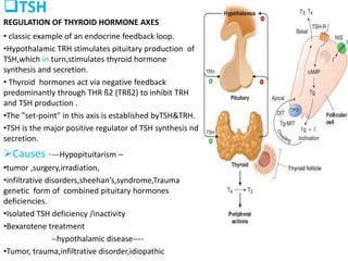 TSH
REGULATION OF THYROID HORMONE AXES
• classic example of an endocrine feedback loop.
•Hypothalamic TRH stimulates pituitary production of
TSH,which in turn,stimulates thyroid hormone
synthesis and secretion.
• Thyroid hormones act via negative feedback
predominantly through THR ß2 (TRß2) to inhibit TRH
and TSH production .
•The "set-point" in this axis is established byTSH&TRH.
•TSH is the major positive regulator of TSH synthesis nd
secretion.
Causes ----Hypopituitarism –
•tumor ,surgery,irradiation,
•infiltrative disorders,sheehan’s,syndrome,Trauma
genetic form of combined pituitary hormones
deficiencies.
•Isolated TSH deficiency /inactivity
•Bexarotene treatment
--hypothalamic disease----
•Tumor, trauma,infiltrative disorder,idiopathic
 