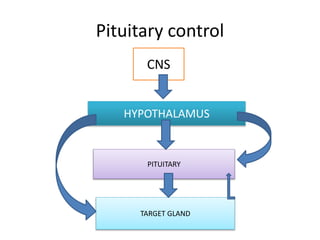 Pituitary control
HYPOTHALAMUS
CNS
PITUITARY
TARGET GLAND
 