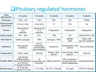 Pituitary regulated hormones
 