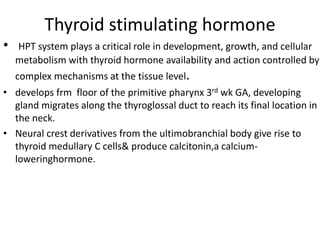 Thyroid stimulating hormone
• HPT system plays a critical role in development, growth, and cellular
metabolism with thyroid hormone availability and action controlled by
complex mechanisms at the tissue level.
• develops frm floor of the primitive pharynx 3rd wk GA, developing
gland migrates along the thyroglossal duct to reach its final location in
the neck.
• Neural crest derivatives from the ultimobranchial body give rise to
thyroid medullary C cells& produce calcitonin,a calcium-
loweringhormone.
 