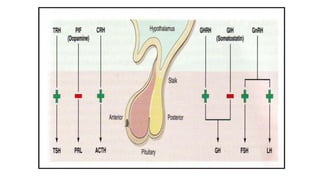 Hypopituitarism