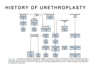 H I S T O R Y O F U R E T H R O P L A S T Y
 