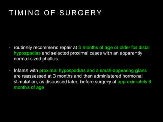 T I M I N G O F S U R G E R Y
• routinely recommend repair at 3 months of age or older for distal
hypospadias and selected proximal cases with an apparently
normal-sized phallus
• Infants with proximal hypospadias and a small-appearing glans
are reassessed at 3 months and then administered hormonal
stimulation, as discussed later, before surgery at approximately 6
months of age
 