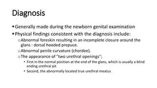 Diagnosis
Generally made during the newborn genital examination
Physical findings consistent with the diagnosis include:
oAbnormal foreskin resulting in an incomplete closure around the
glans : dorsal hooded prepuce.
oAbnormal penile curvature (chordee).
oThe appearance of "two urethral openings";
• First in the normal position at the end of the glans, which is usually a blind
ending urethral pit
• Second, the abnormally located true urethral meatus
 
