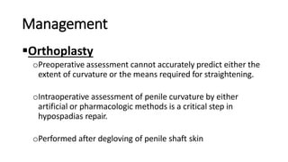 Management
Orthoplasty
oPreoperative assessment cannot accurately predict either the
extent of curvature or the means required for straightening.
oIntraoperative assessment of penile curvature by either
artificial or pharmacologic methods is a critical step in
hypospadias repair.
oPerformed after degloving of penile shaft skin
 