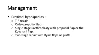Management
 Proximal hypospadias :
o TIP repair
o Onlay preputial flap
o Single stage urethroplasty with preputial flap or the
Koyanagi flap.
o Two stage repair with Byars flaps or grafts.
 