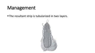 Management
The resultant strip is tubularized in two layers.
 