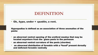 Comprehensive Overview of Hypospadias: Definition, Embryology, Etiology ...