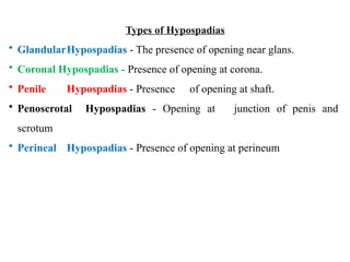hypospadias AND epispadias .pptx