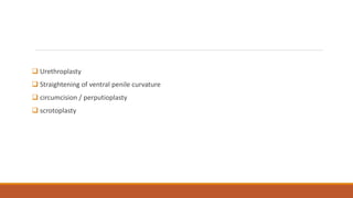  Urethroplasty
 Straightening of ventral penile curvature
 circumcision / perputioplasty
 scrotoplasty
 