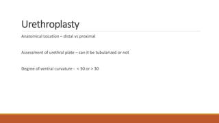Urethroplasty
Anatomical Location – distal vs proximal
Assessment of urethral plate – can it be tubularized or not
Degree of ventral curvature - < 30 or > 30
 